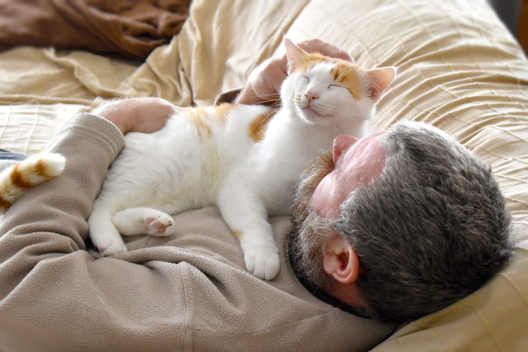 Why Do Cats Lay on Your Chest? Love or Instinct? 2026