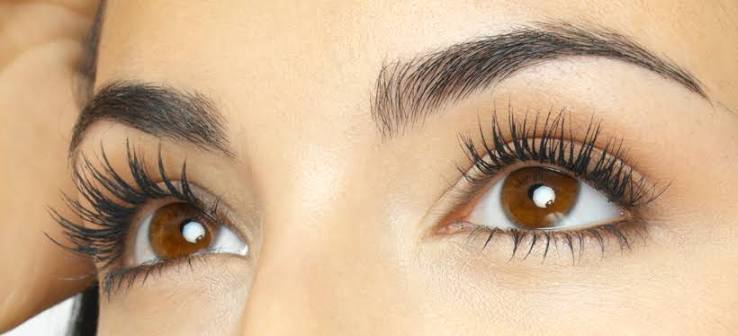 Why Do We Have Eyelashes? The Surprising Reason 2026