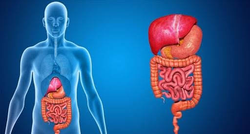 Why Would I Be Referred to a Gastroenterologist? Real Reason 2026