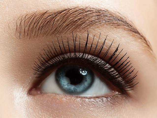 Why Do We Have Eyelashes? The Surprising Reason 2026