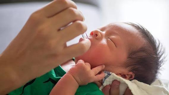 Why Can't You Give Babies Honey? The Truth 2026