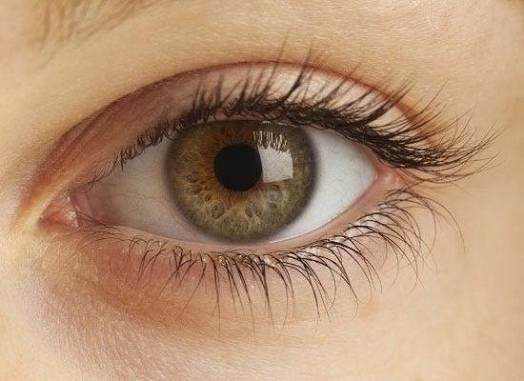 Why Do We Have Eyelashes? The Surprising Reason 2026