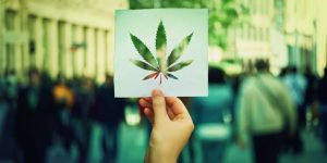 Why Are There Dispensaries in Tennessee? Facts 2026