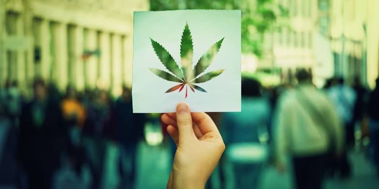 Why Are There Dispensaries in Tennessee? Facts 2026